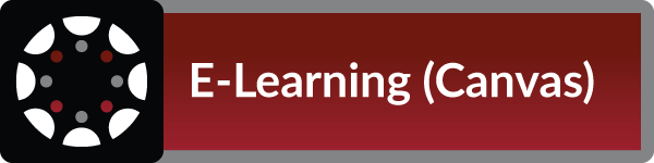 E-Learning (Canvas)